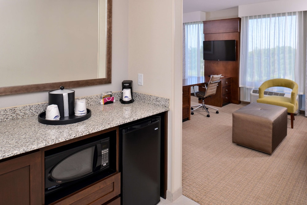 Hampton Inn Suites Orlando Downtown South Medical Center 45/46