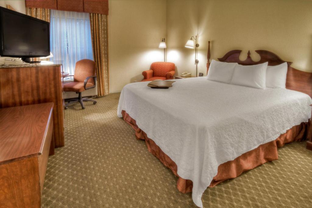 Room, King Bed, Sofa, Accessible
