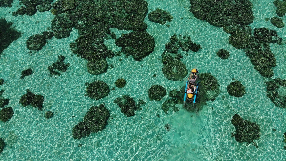 Castaway 46/72