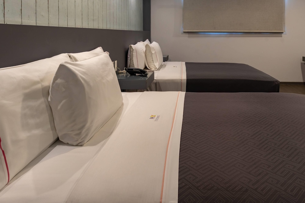 MX 国会酒店(Hotel MX congreso CDMX, Trademark Collection by Wyndham) 图片4