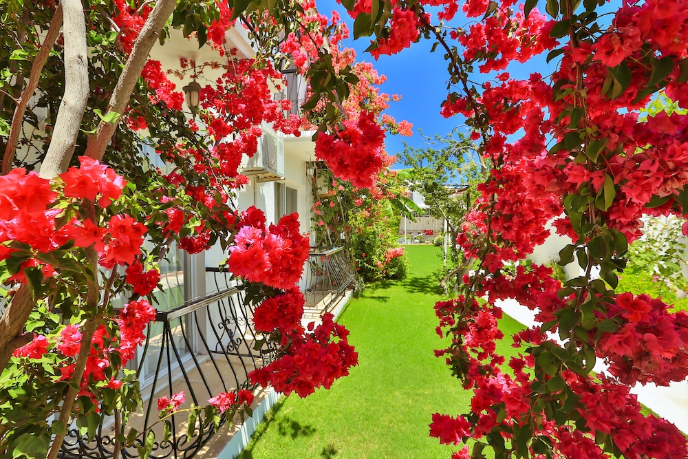 Kiraz Otel 19/19