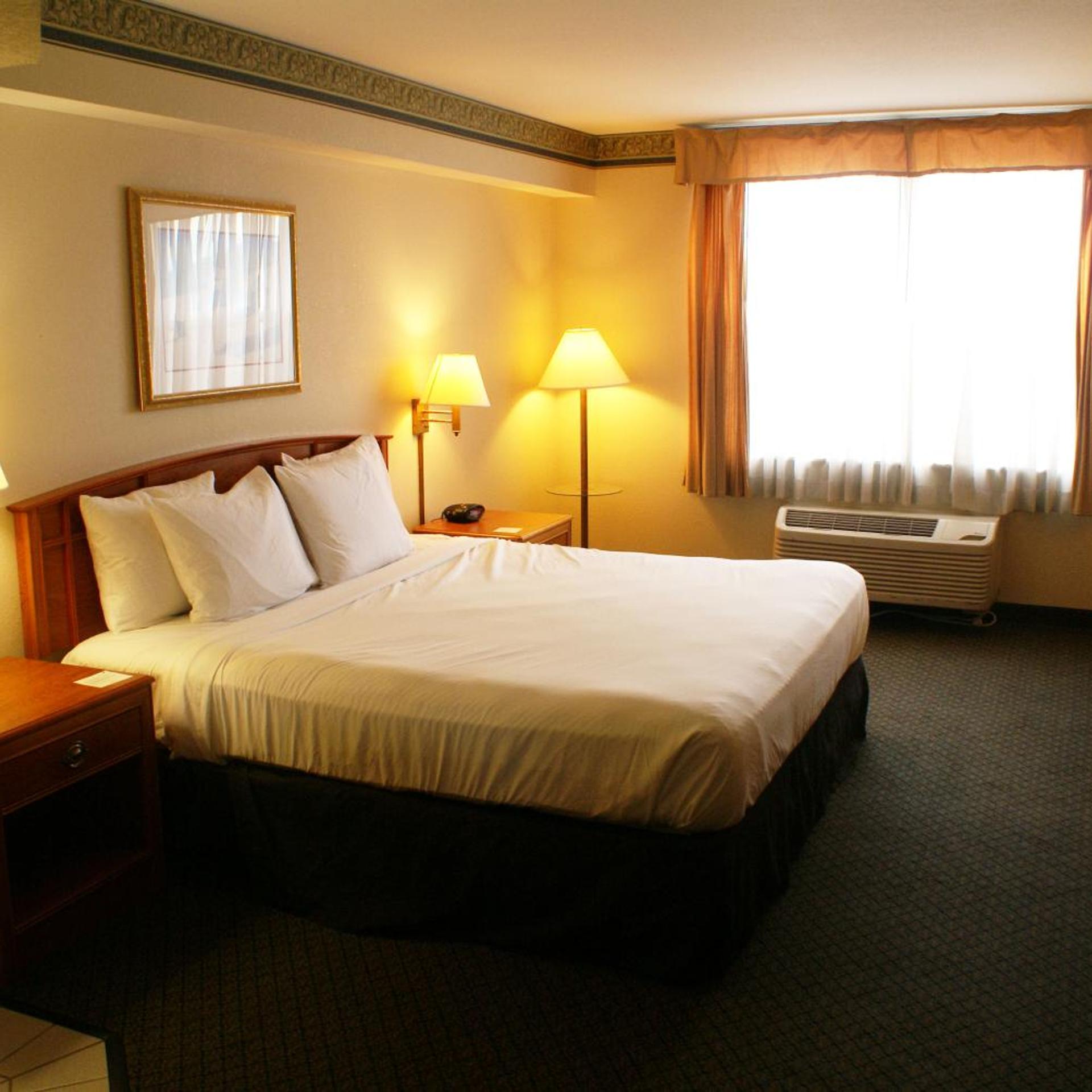 Studio, King Bed, Sofa, Accessible