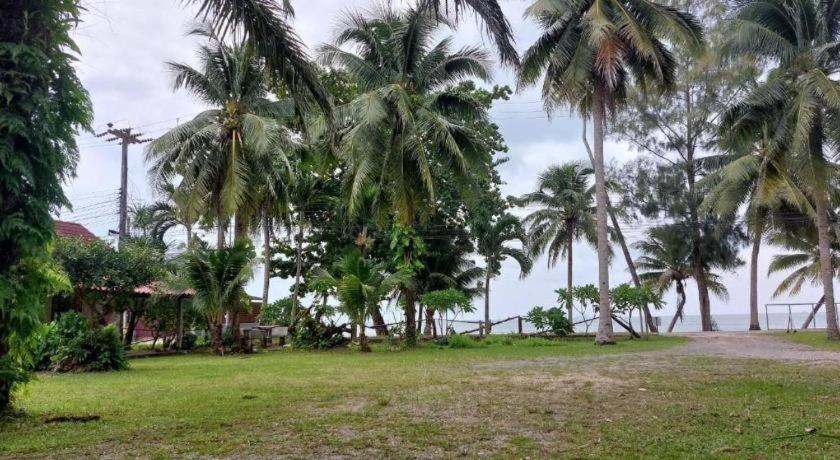 Chill Beach Resort 38/50