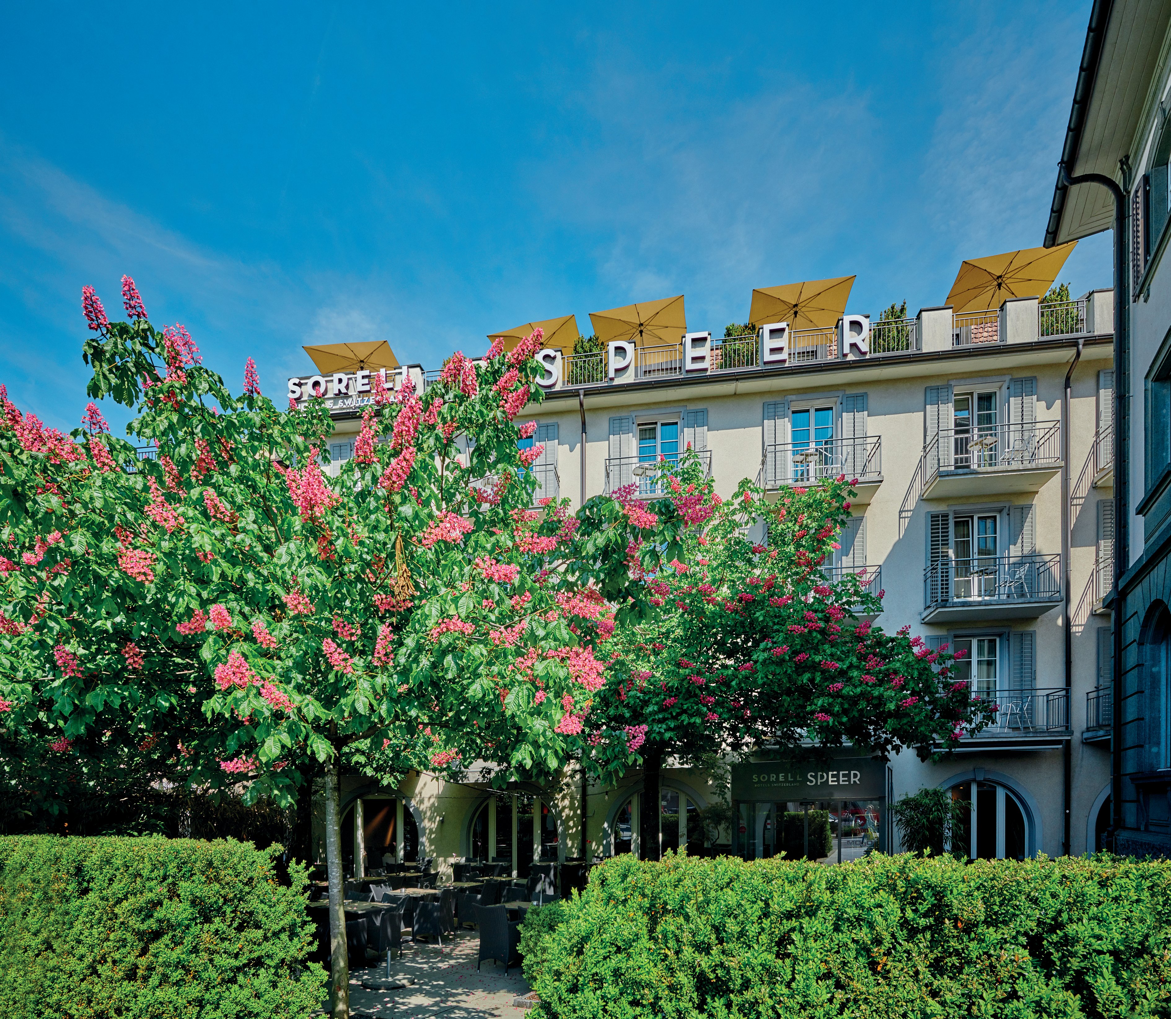 SORELL HOTEL SPEER 41/50