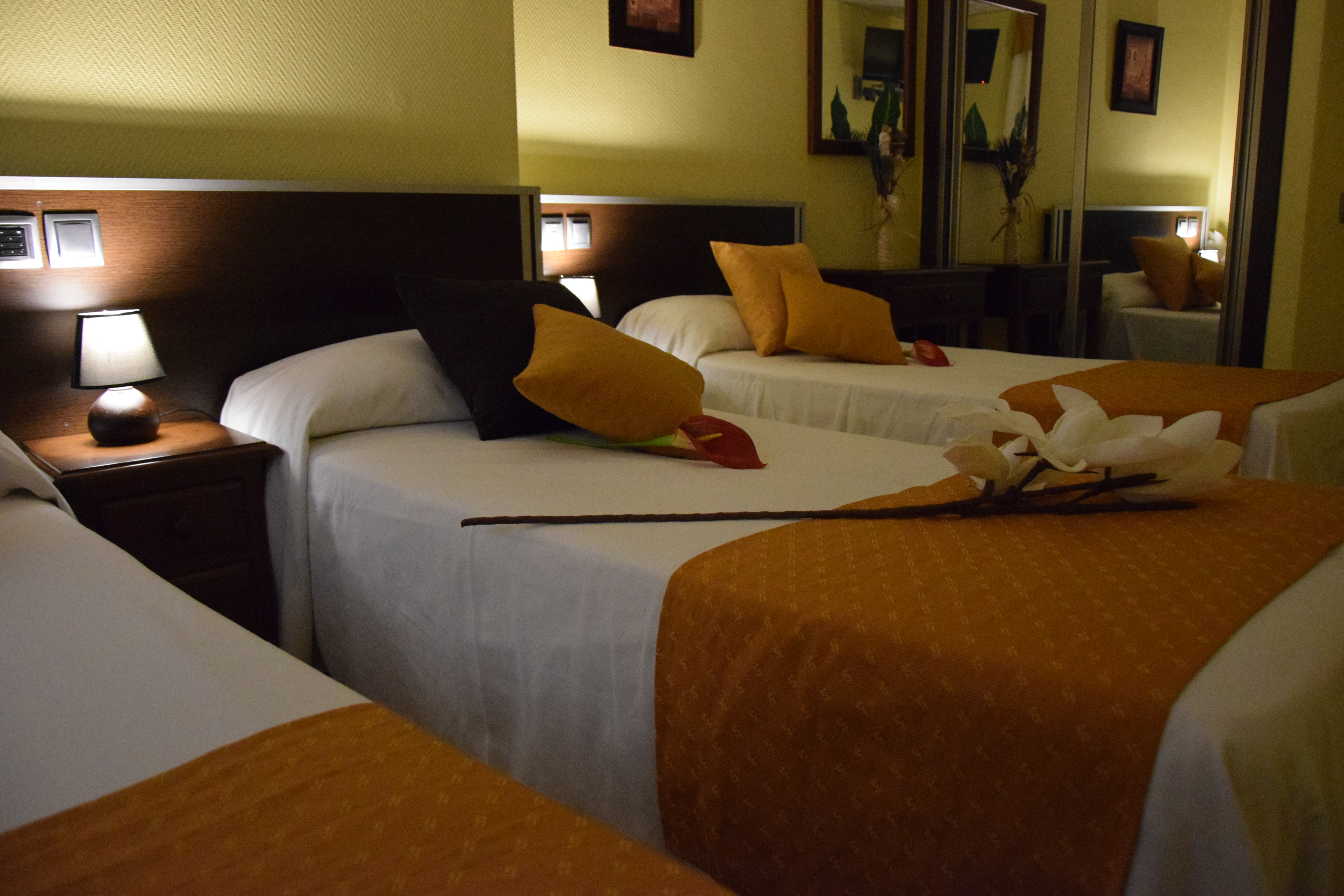 Hostal Complutense 7/28