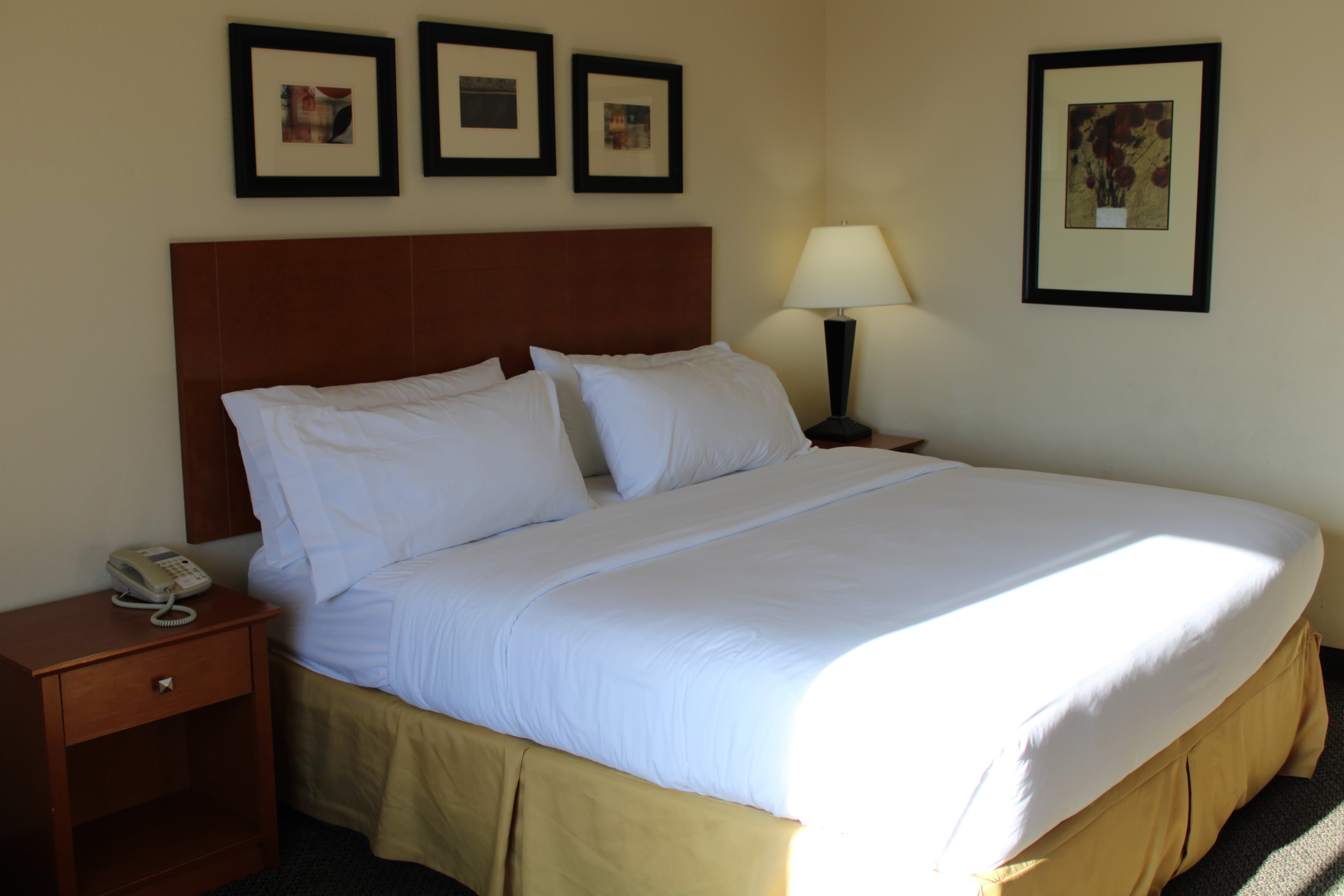Holiday Inn Express Hotel & Suites Vernal - Dinosaurland 22/77