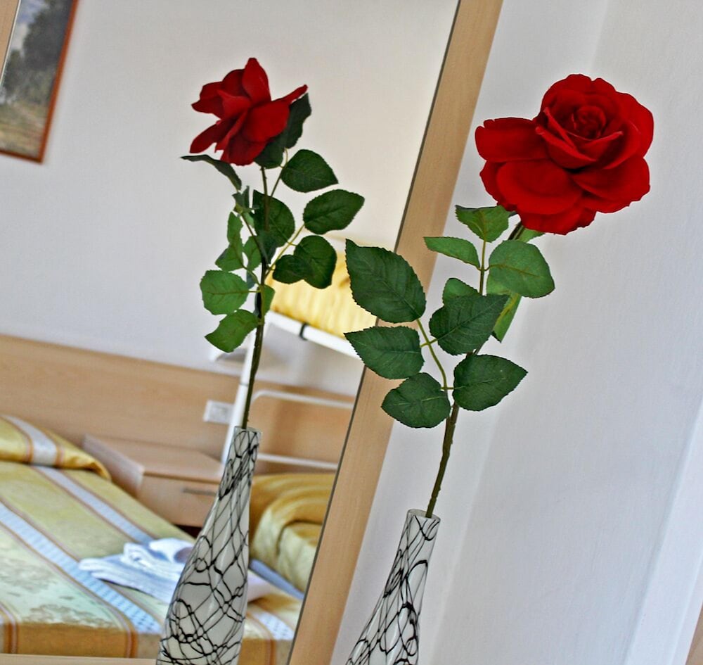 HOTEL PRIMULA RIMINI 图片2