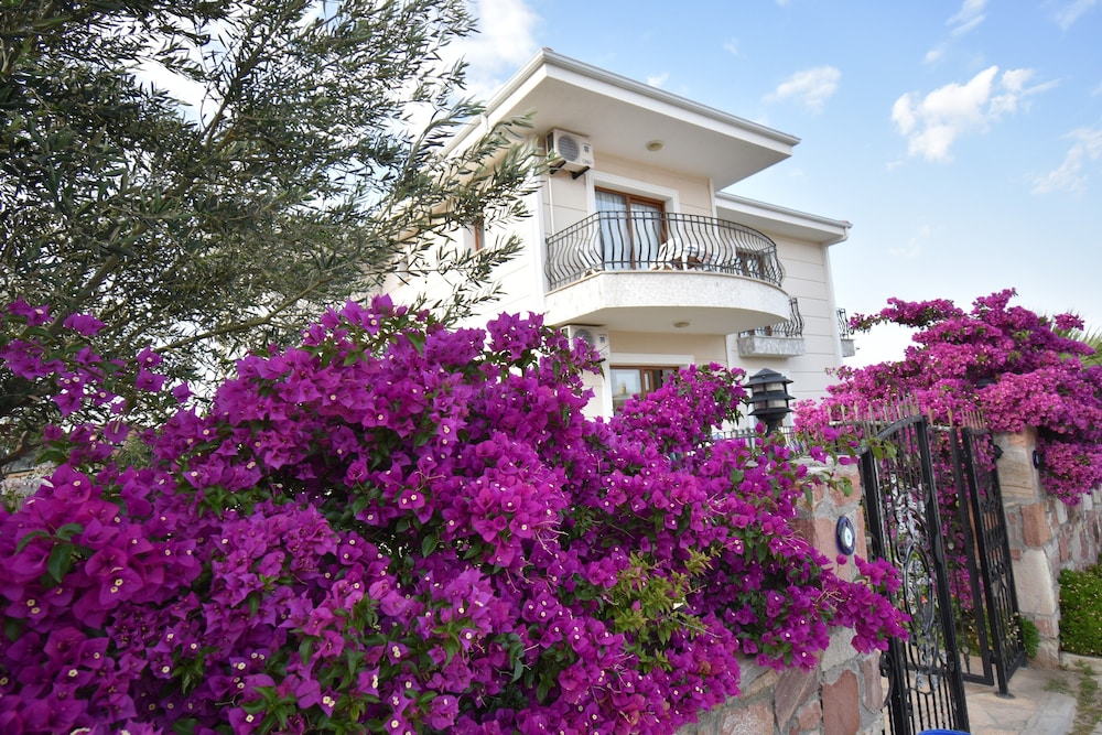 Cunda Paradise Butik Otel酒店(Cunda Paradise Butik Otel) 图片2