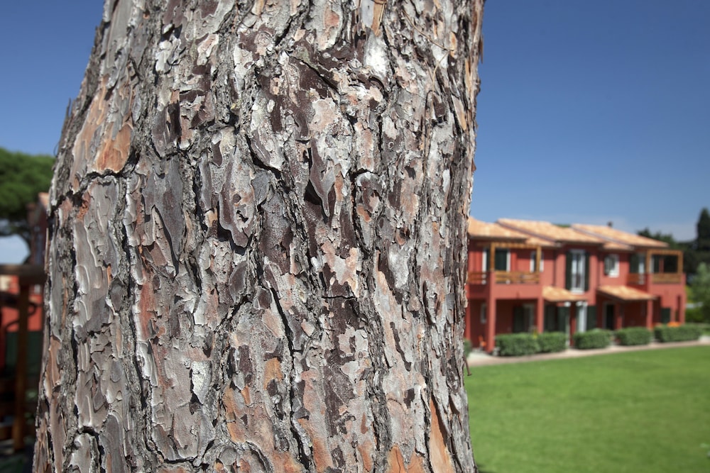Pineta Residence 24/38