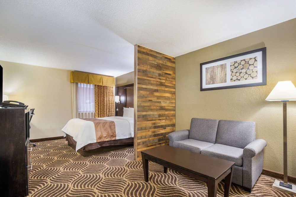 Quality Inn and Suites Florence Cincinnati South 31/48