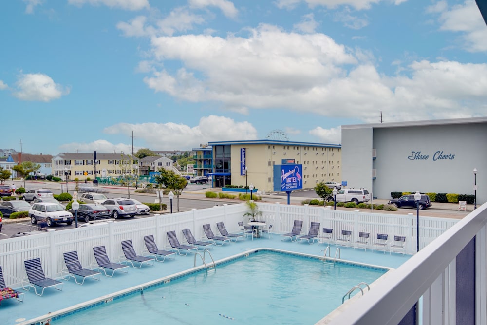 Flamingo Motel 28/34
