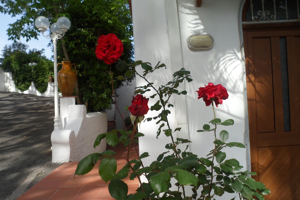 HOTEL PARK CALITTO 7/48