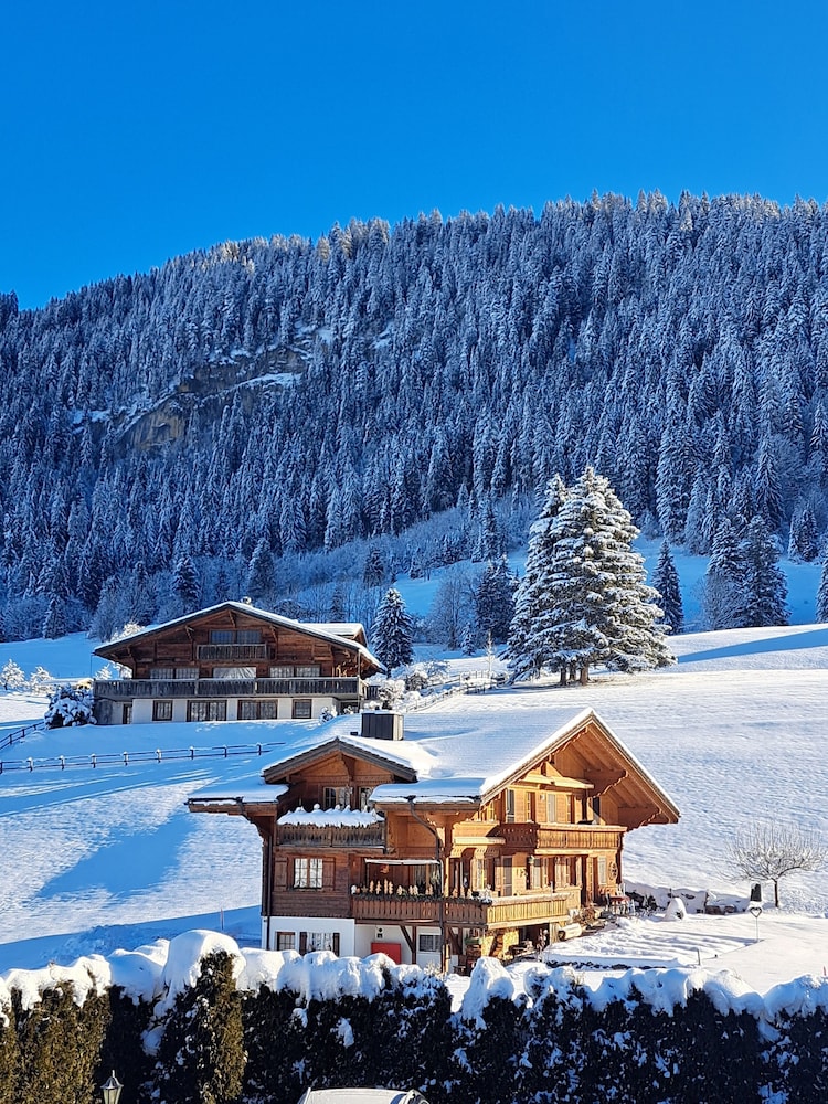 Hotel Le Grand Chalet 36/50