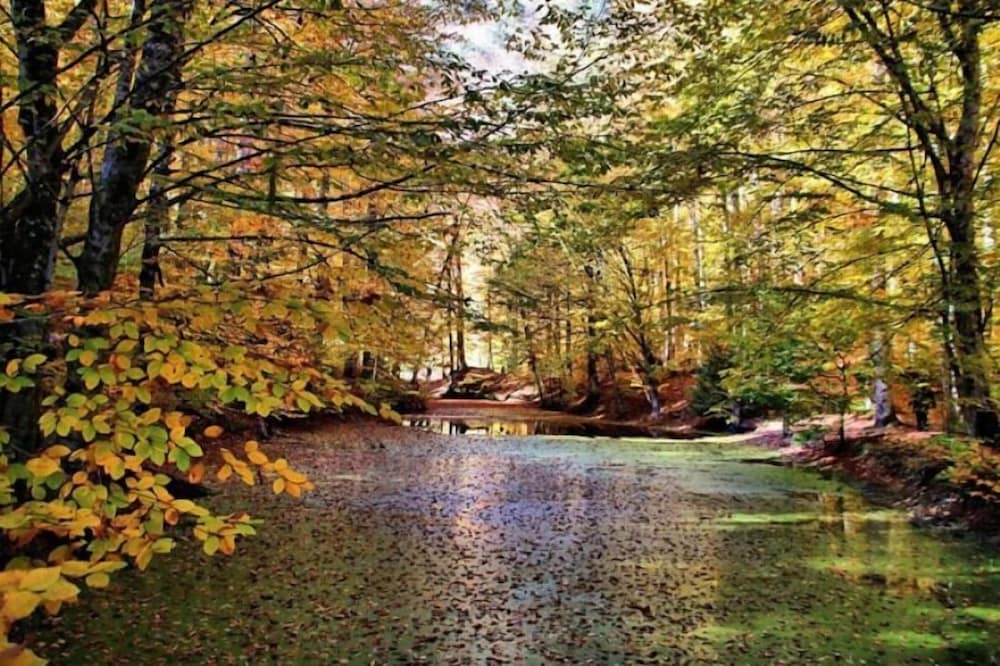 Bolu Grand Koroglu Otel 23/32