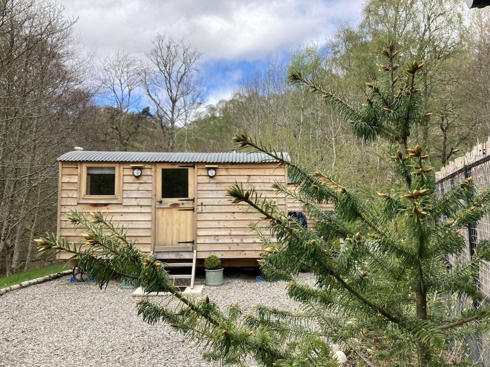 Highland Bear Lodge 41/49