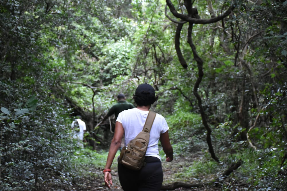 Mahoora Tented Safari Camp - Sinharaja 16/31