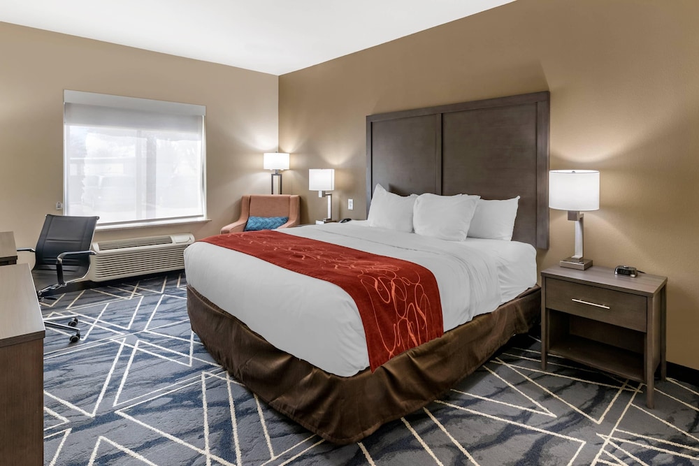 ROOM, KING BED, ACCESSIBLE