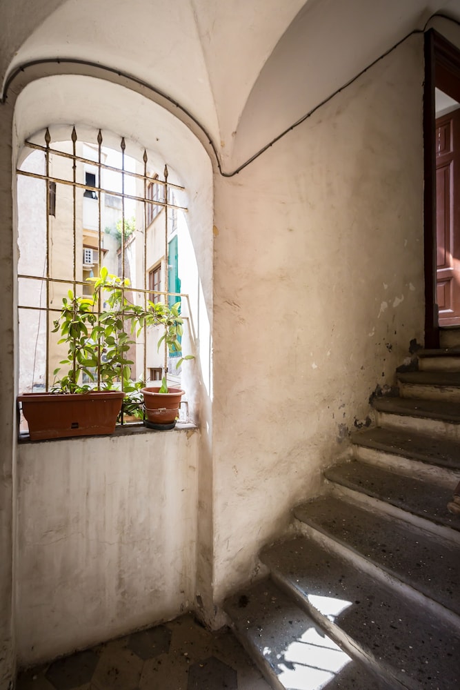 The Hide Trastevere 1/17