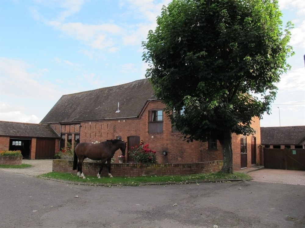 Bluebell Farm 1/22