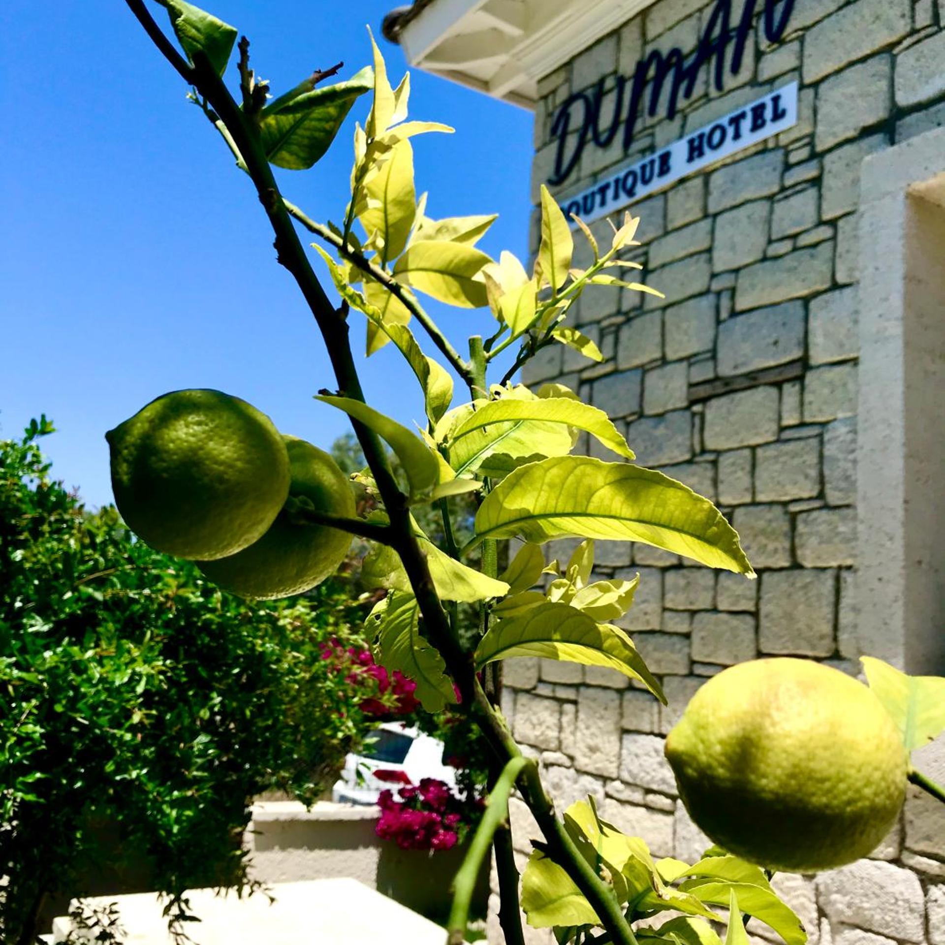 Duman Boutique Hotel Cesme 5/40