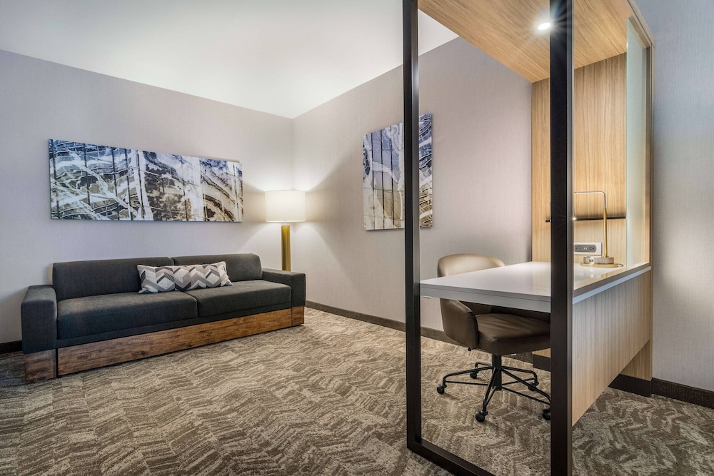 SpringHill Suites by Marriott Charleston Airport & Convention Center 32/43