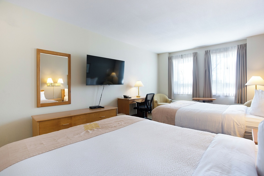 Lakeview Inn & Suites 29/60
