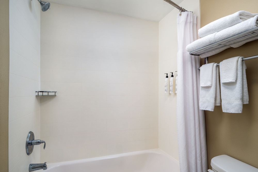 SpringHill Suites by Marriott Sarasota Bradenton 34/34