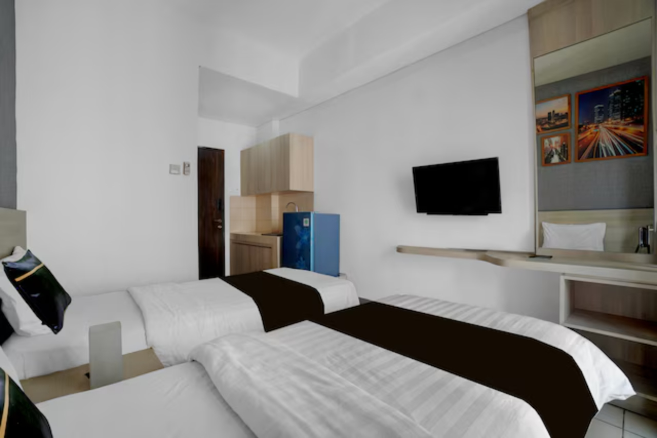 Collection O Expressia Stay 23/34