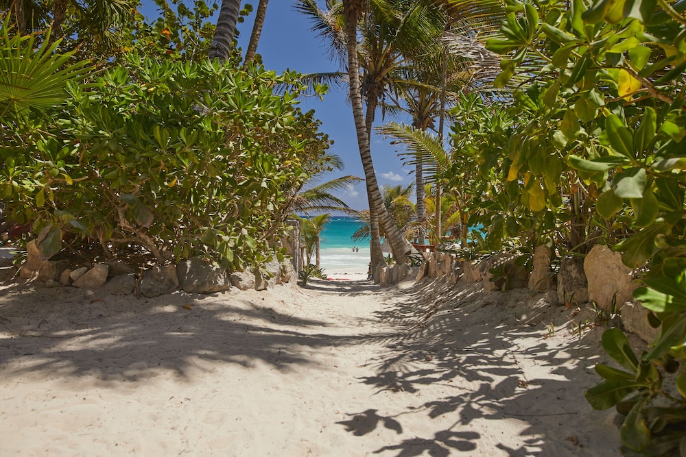 Hotel Dos Ceibas Eco Retreat Tulum 42/50