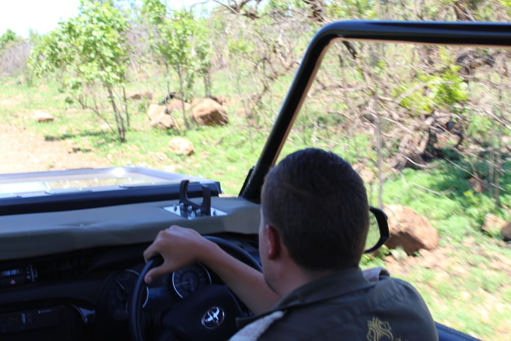 TSHUKUDU BUSH LODGE 22/49