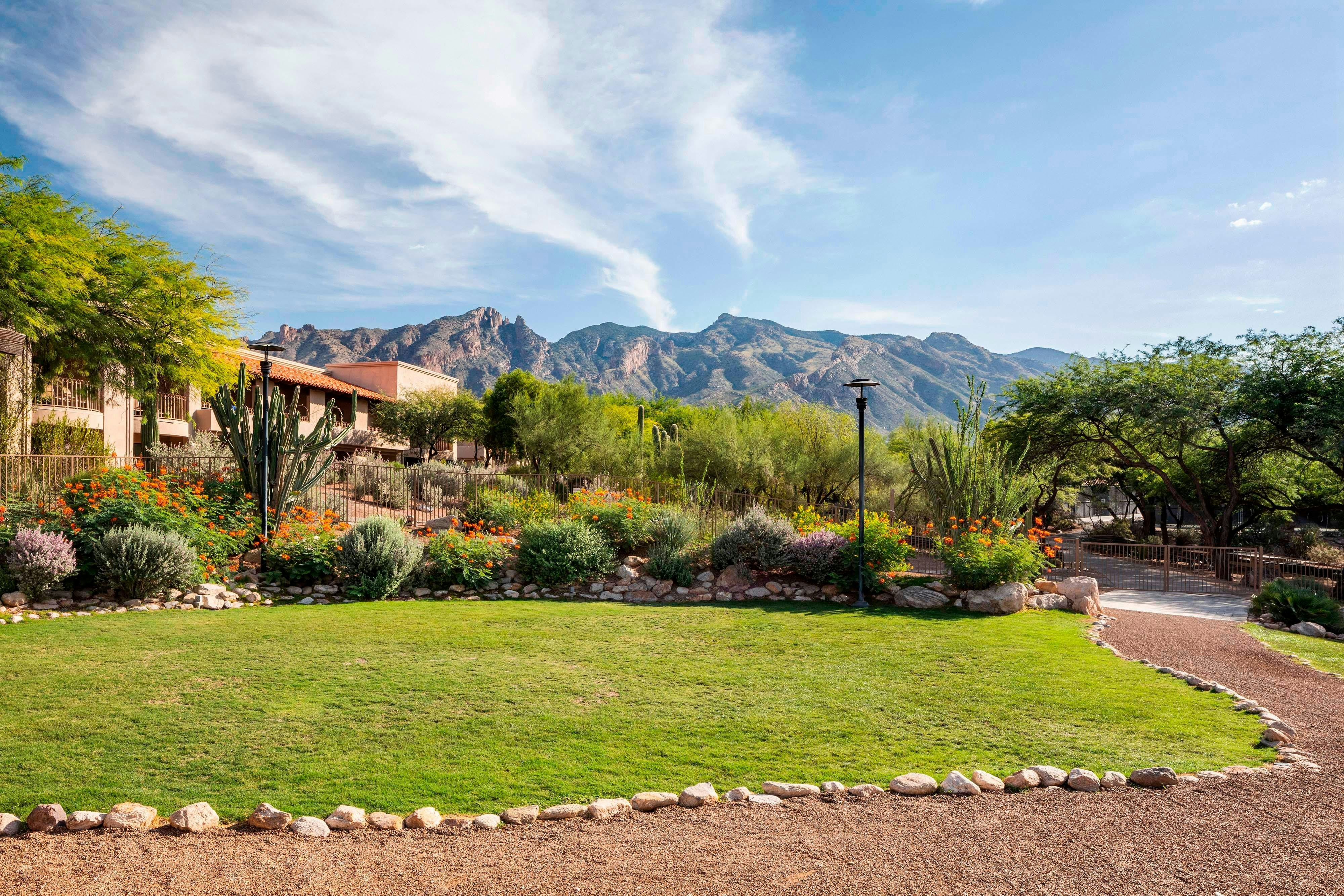 Westin La Paloma Resort And Spa 24/37