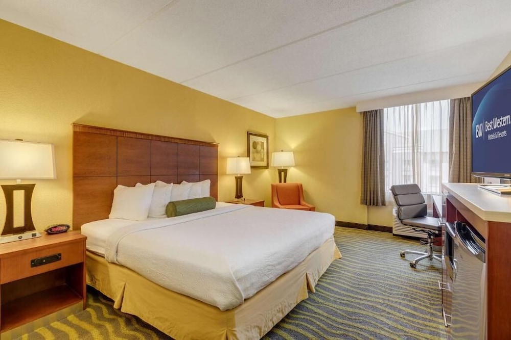 Standard, King Bed, Accessible