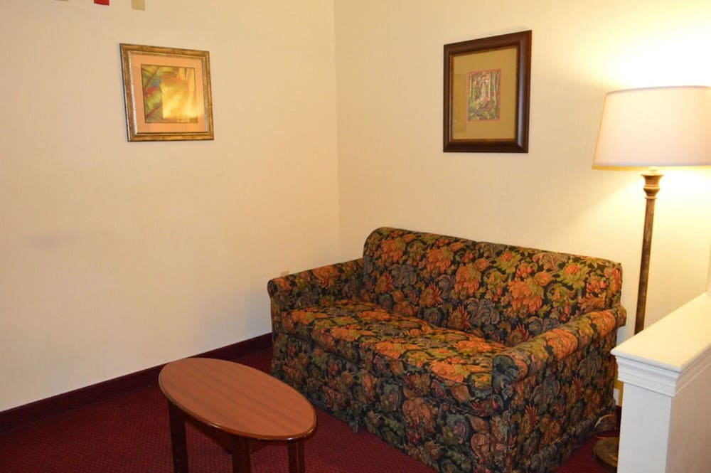 Opal Hotel and Suites 17/50