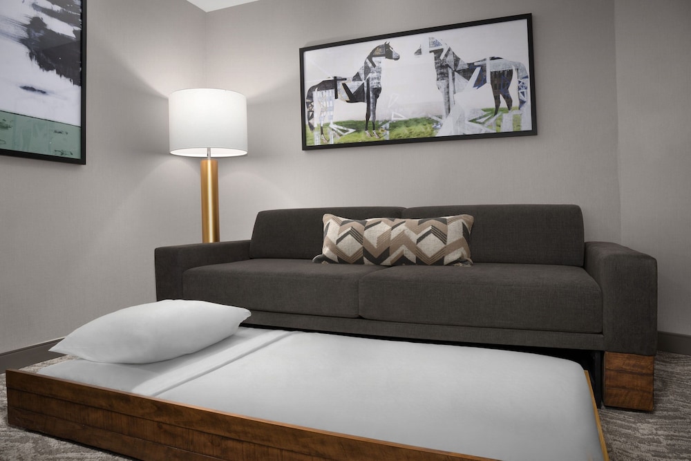 Springhill Suites by Marriott Lexington Fritz Farm 14/27