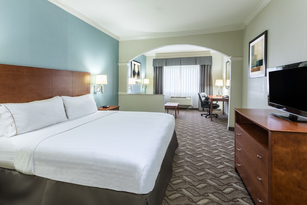 Holiday Inn Express Hotel And Suites Lake Charles 20/58