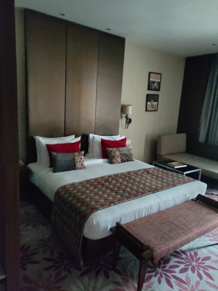 Pride Plaza Kolkata 10/64