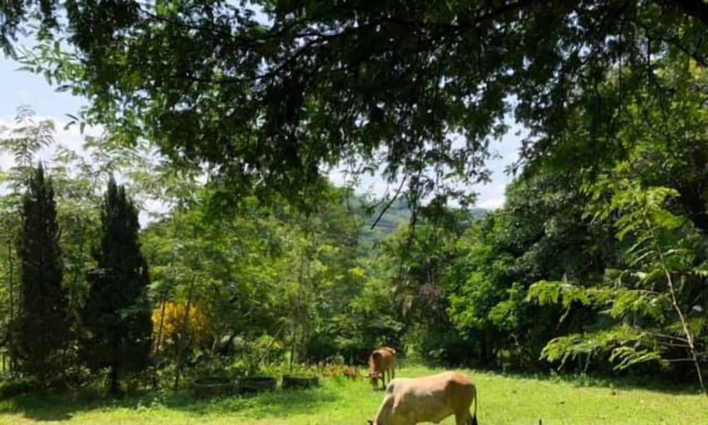 Aum Hum Homestay 36/50