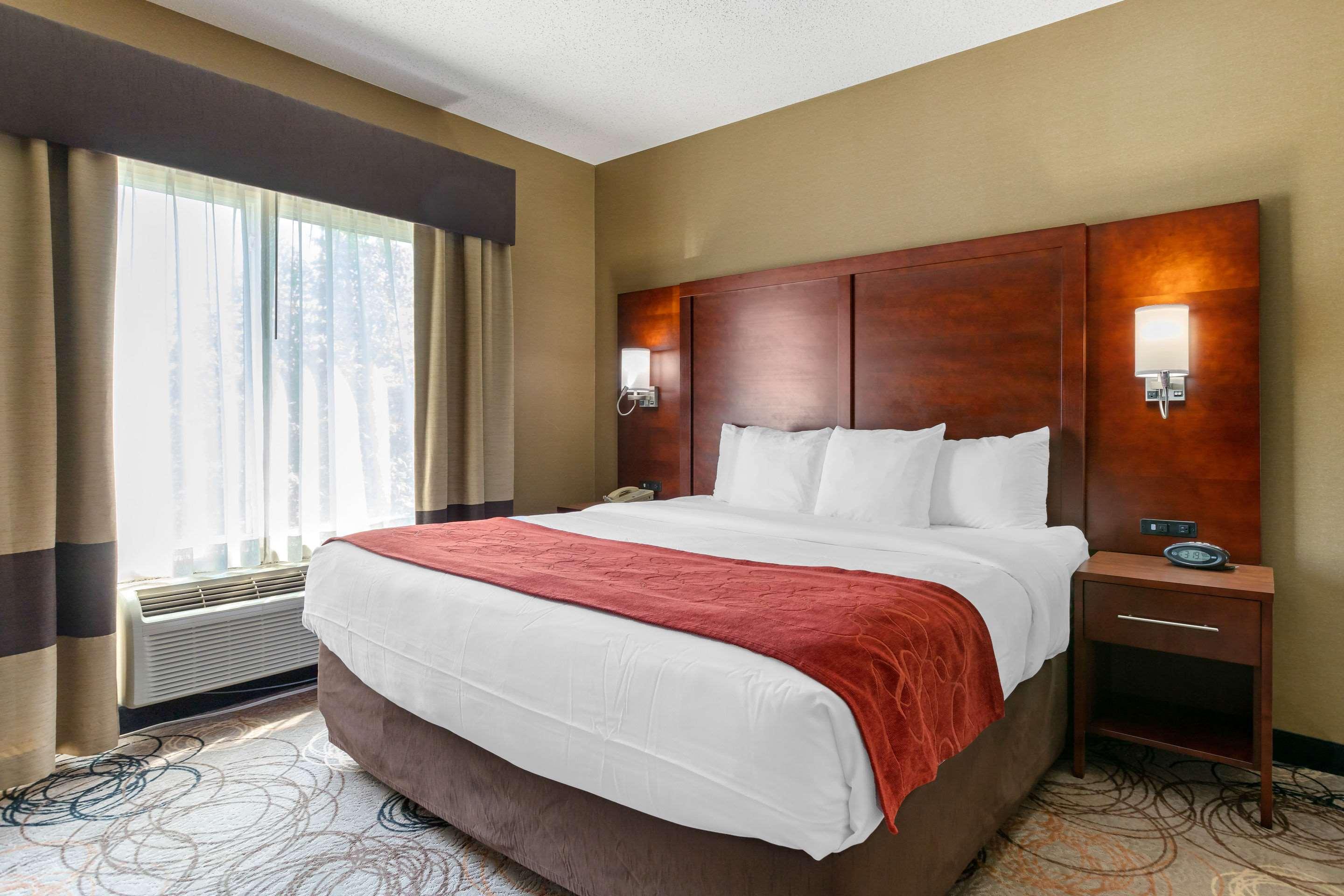 Executive, Suite, King Bed, Queen Bed, Sofa, Kitchenette