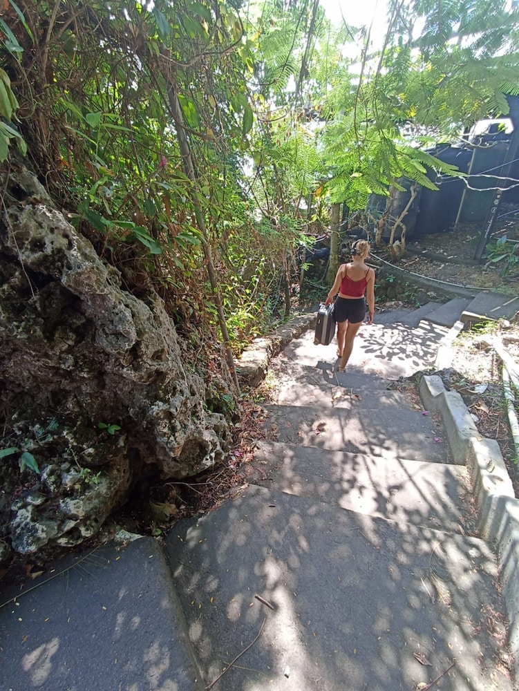 Sal Secret Spot 35/72