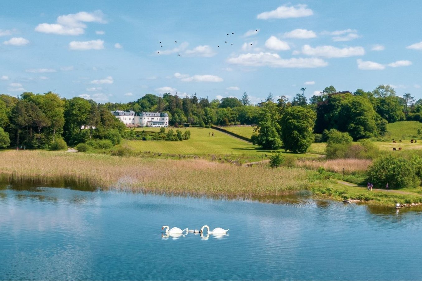 Bloomfield House Hotel Mullingar 28/31