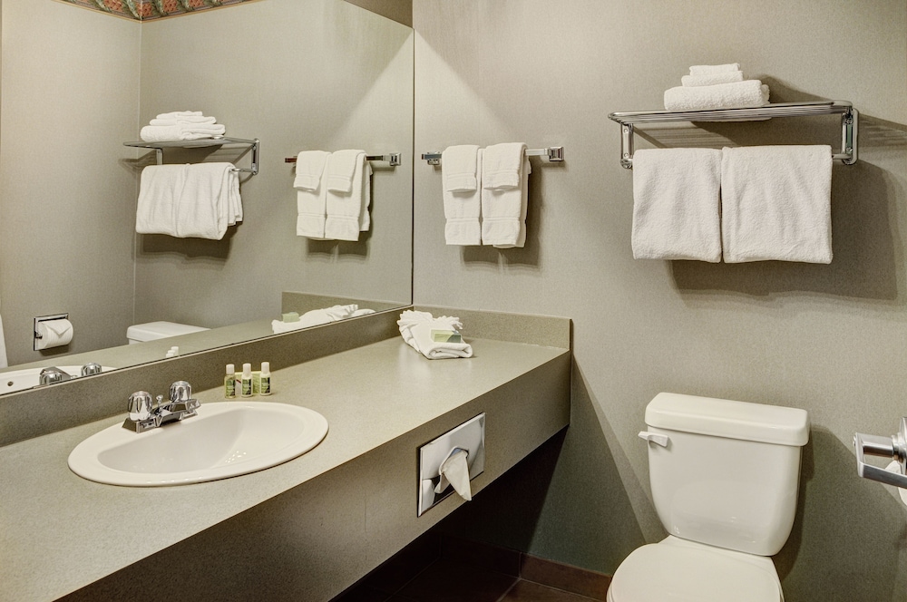 Days Inn by Wyndham Whitecourt 19/53
