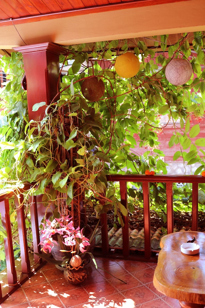 Apple Guesthouse 65/75