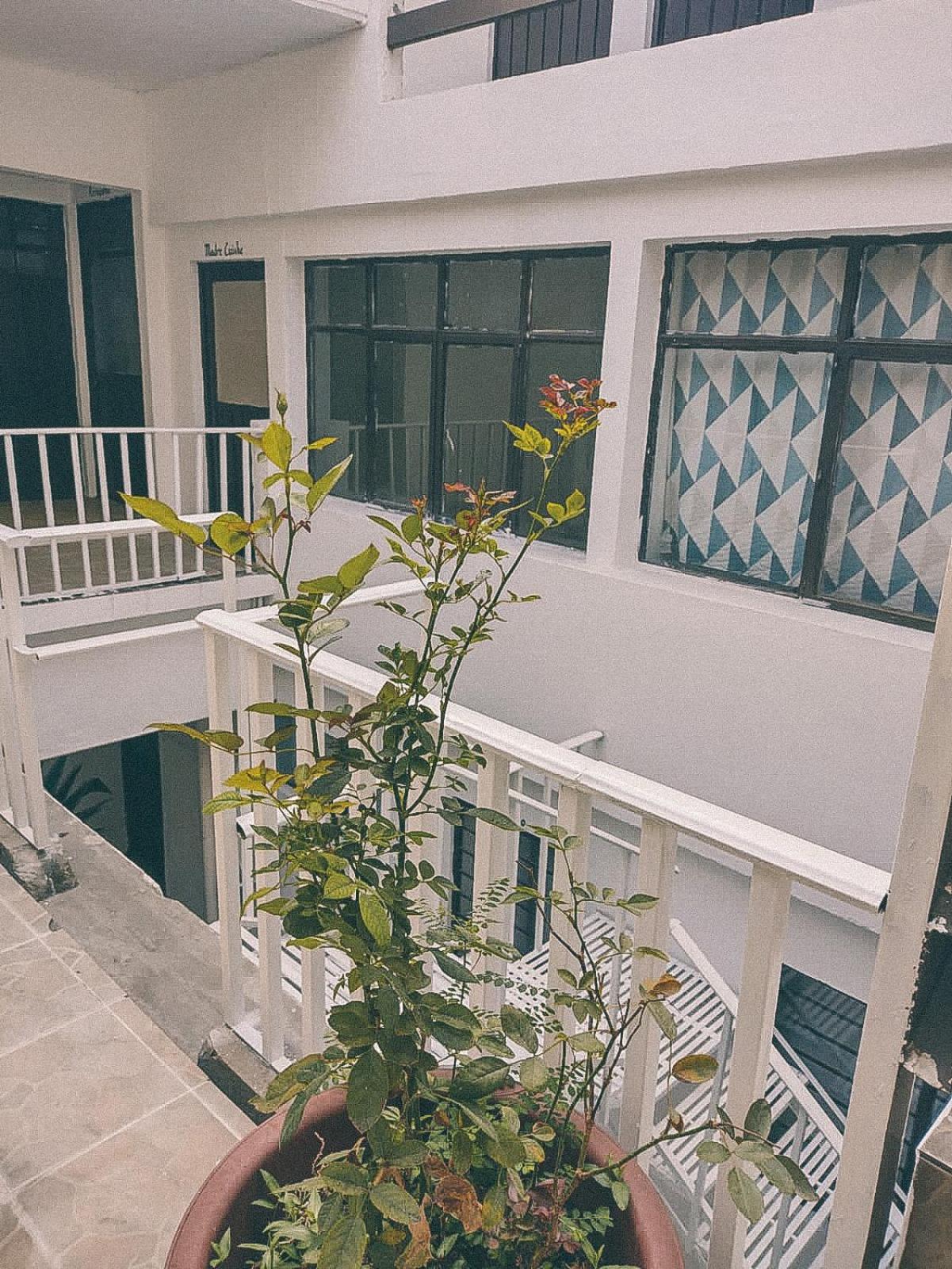 Hotel Casa Maguey 5/50
