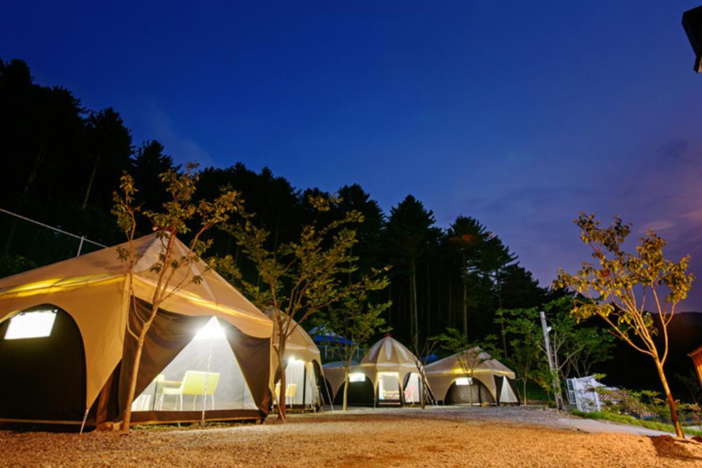 Gapyeong Animal Caravan Pension 27/37