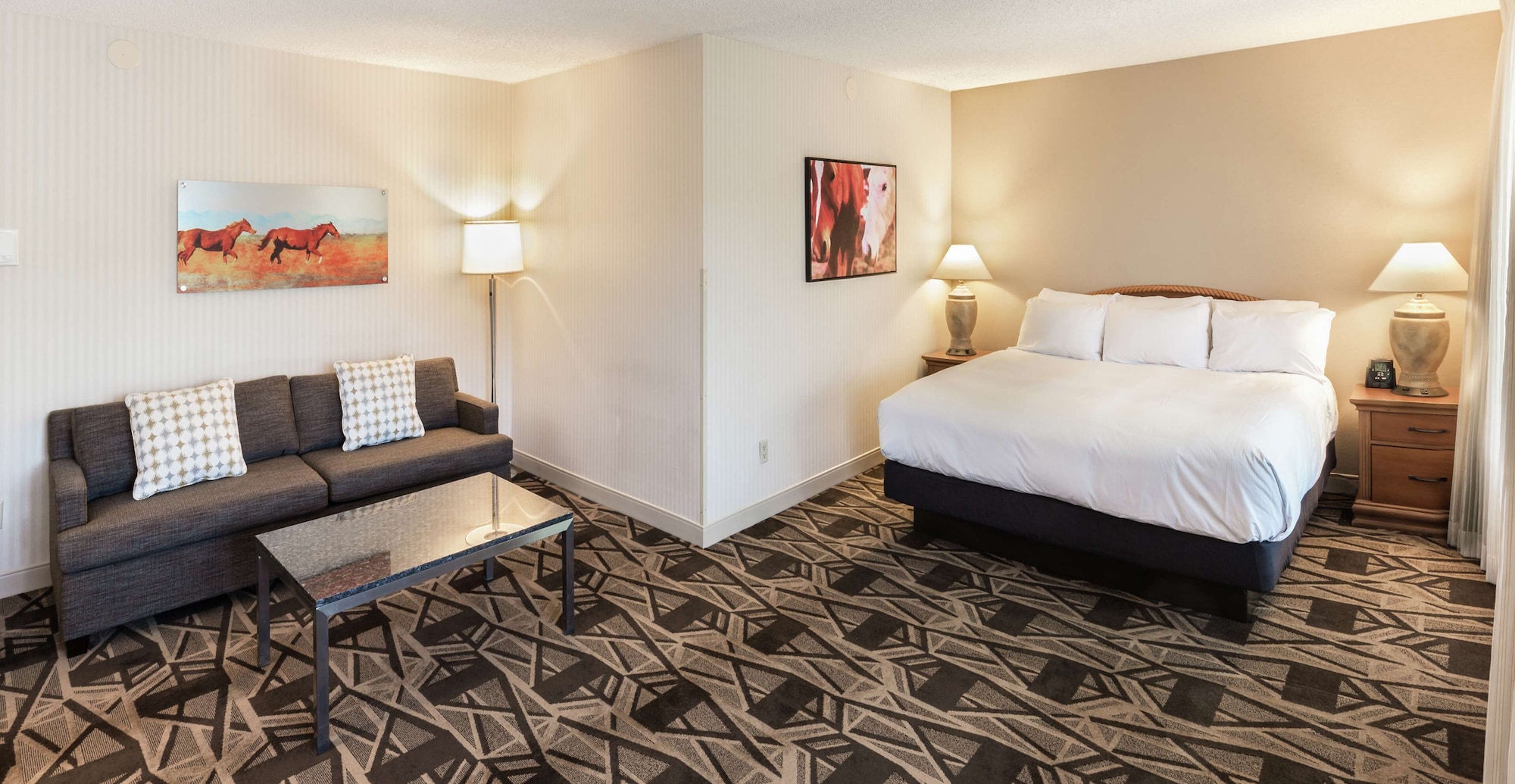 Room, King Bed, City View, Sofa, Allergy Friendly