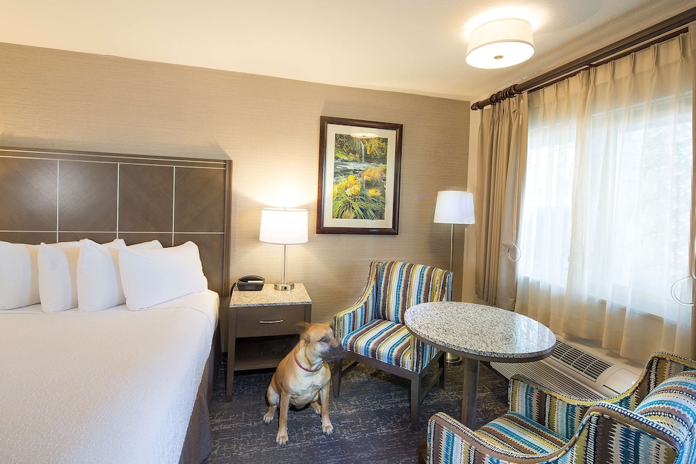 Best Western Plus Hilltop Inn 36/52
