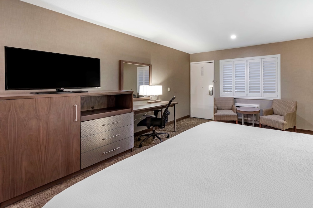 Best Western Plus Anaheim Inn 16/59