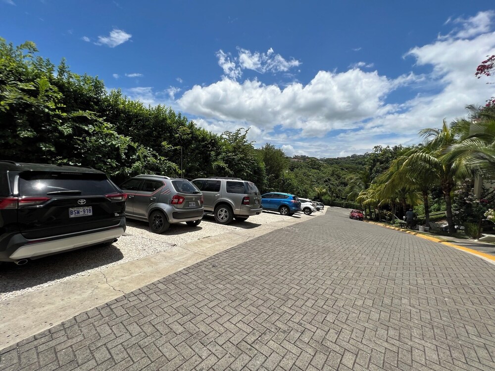 Tropical Gardens 35/48