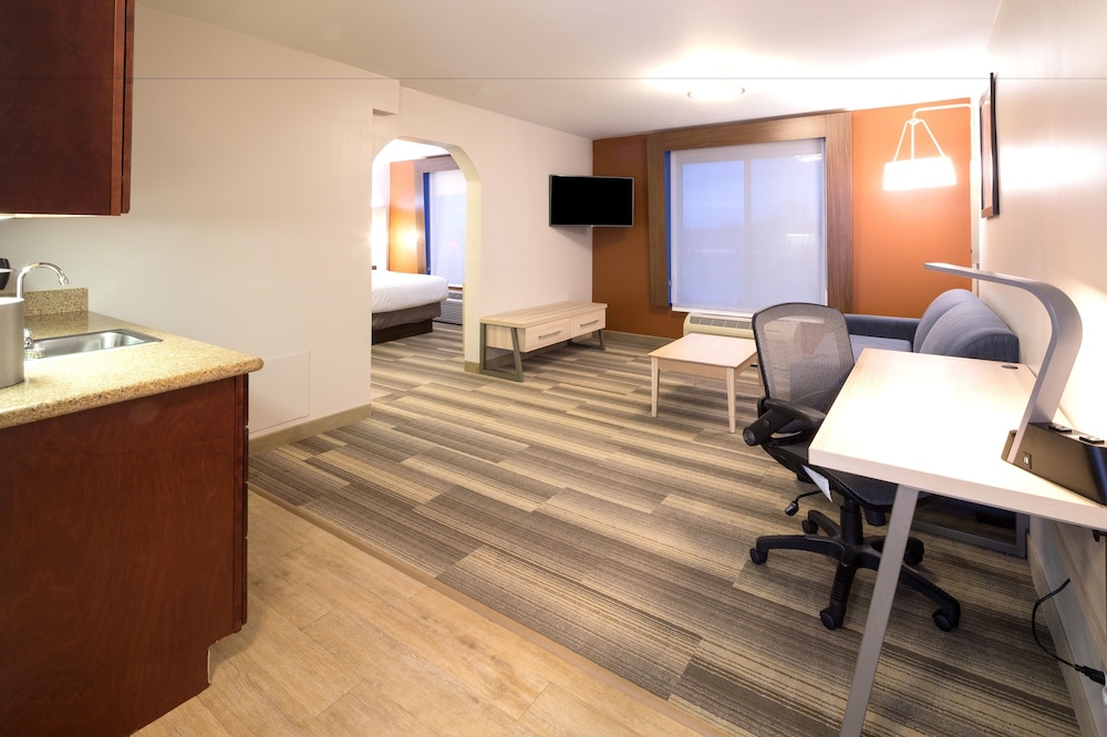 Holiday Inn Express Hotel Suites Grand Blanc 33/46