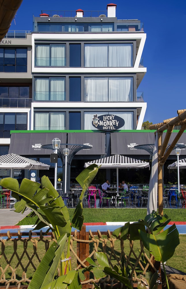 Lucky Monkey Hotel 2/50